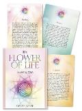 The Flower of Life: Wisdom of Astar
