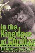 In The Kingdom Of Gorillas