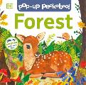 Pop Up Peekaboo Forest