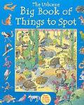 Usborne Big Book Of Things To Spot