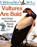 I Wonder Why Vultures Are Bald