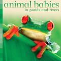 Animal Babies Ponds & Rivers