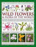 Illustrated Encyclopedia of Wildflowers & Flora of the World