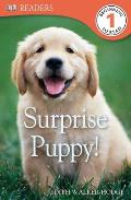 DK Readers L1: Surprise Puppy