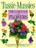 Tussie Mussies & The Language Of Flo