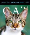 Cat Page-A-Day Gallery Calendar 2016
