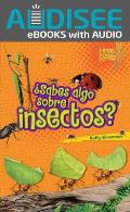 ?Sabes Algo Sobre Insectos? (Do You Know about Insects?)