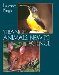 Strange Animals New To Science