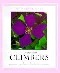 Designing With Climbers