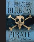 High Skies Adventures of Blue Jay the Pirate