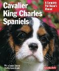 Cavalier King Charles Spaniels Everything about Purchase Care Nutrition Behavior & Training