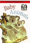 Baby Animals Pocket Gems Series