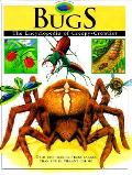 Bugs The Encyclopedia Of Creepy Crawlies