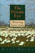 Private Eye Observing Snow Geese