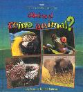 ?Qu? Es El Reino Animal? (What Is the Animal Kingdom?)