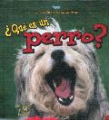 ?Qu? Es Un Perro? (What Is a Dog?)