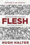 Flesh: Bringing the Incarnation Down to Earth