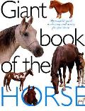 Giant Book Of The Horse