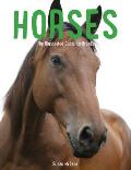 Horses: The Illustrated Guide to Breeds