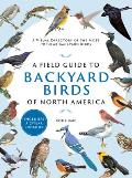 Backyard bird identification guide –