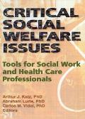 Critical Social Welfare Issues: Tools for Social Work and Health Care Professionals