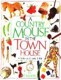 Country Mouse In The Town House A Hide A