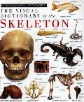 Skeleton Eyewitness Visual Dictionary