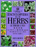 Encyclopedia Of Herbs & Their Uses