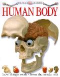 Human Body Inside Guides