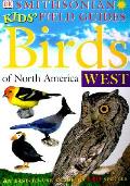 Birds Of North America West