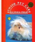 Guinea Pigs Junior Pet Care