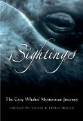 Sightings The Gray Whales Mysterious Journey