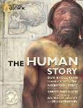Human Story Our Evolution From Prehistor