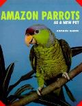 Amazon Parrots As A New Pet