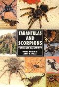Tarantulas & Scorpions