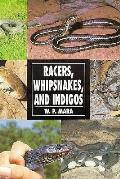 Racers Whipsnakes & Indigos