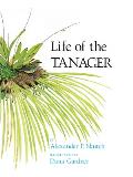 Life Of The Tanager