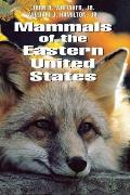 Mammals of the Eastern United States: Politics and Memory in the Yeltsin Era