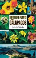 Flowering Plants Of The Galapagos