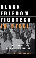 Black Freedom Fighters in Steel