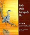Birds of the Chesapeake Bay Paintings by John W Taylor with Natural Histories & Journal Notes by the Artist