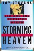 Storming Heaven LSD & the American Dream