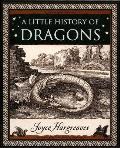 Little History Of Dragons