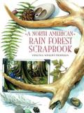 North American Rain Forest Scrapboo