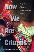 Now We Are Citizens Indigenous Politics in Postmulticultural Bolivia