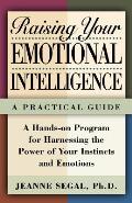 Raising Your Emotional Intelligence: A Practical Guide