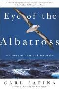 Eye of the Albatross Visions of Hope & Survival