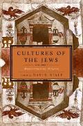 Cultures of the Jews, Volume 1: Mediterranean Origins
