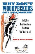Why Don't Woodpeckers Get Headaches?: And Other Bird Questions You Know You Want to Ask
