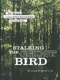 Stalking the Ghost Bird: The Elusive Ivory-Billed Woodpecker in Louisiana